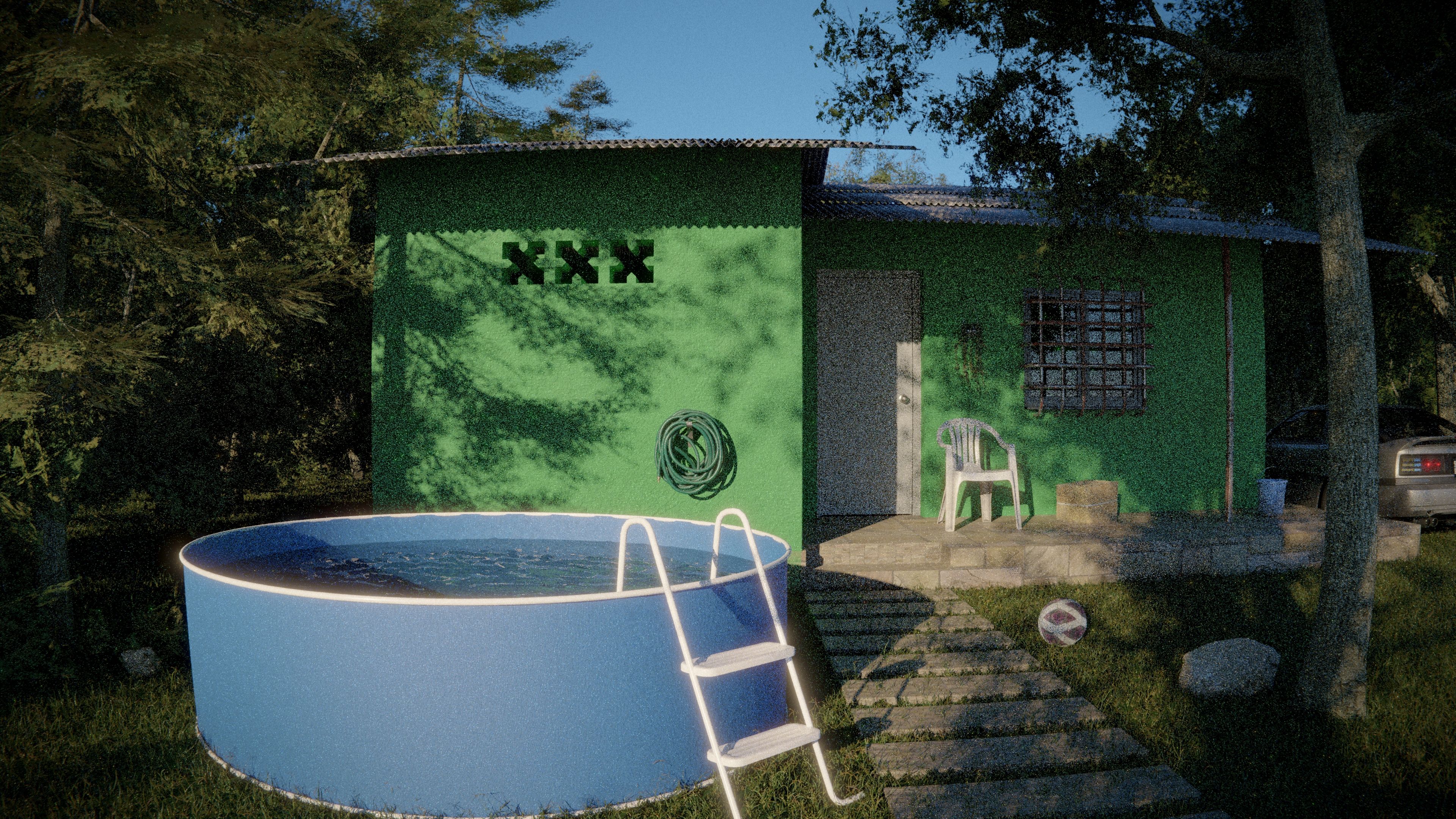 A round above-ground pool with a ladder in a green backyard