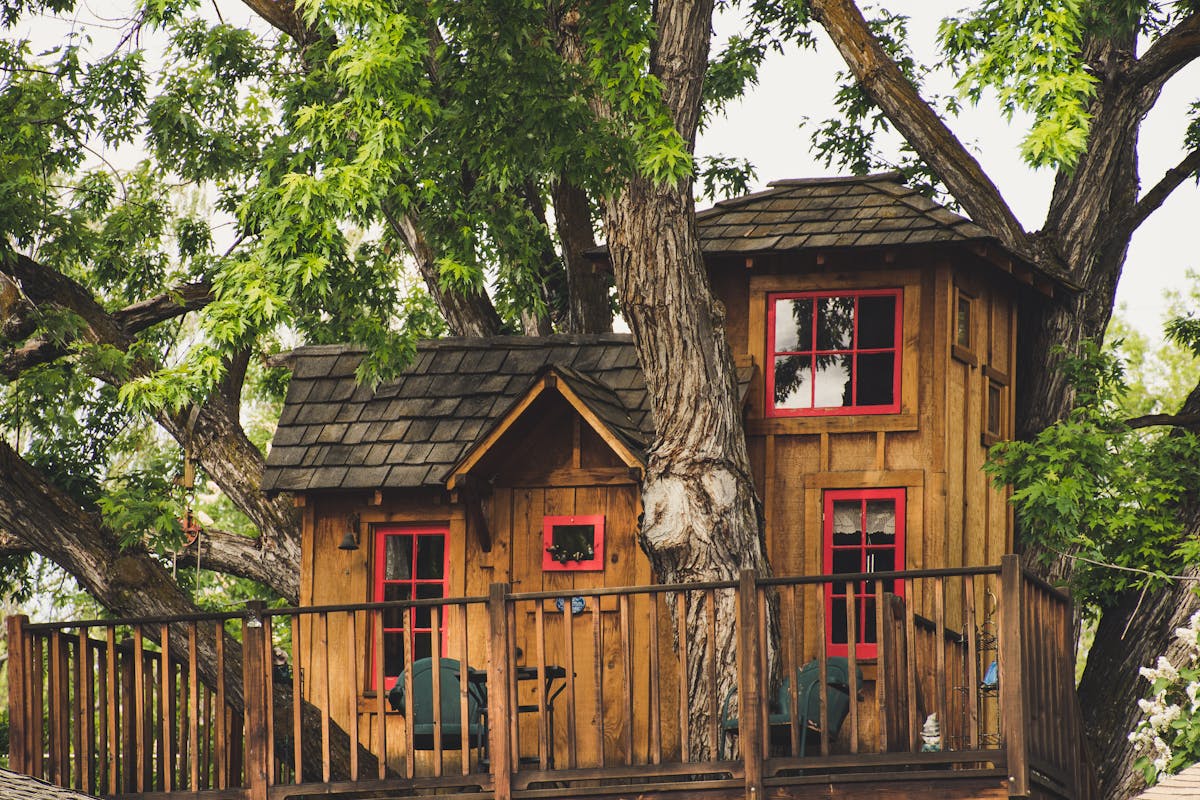 Rustic wooden treehouse nestled among large backyard trees